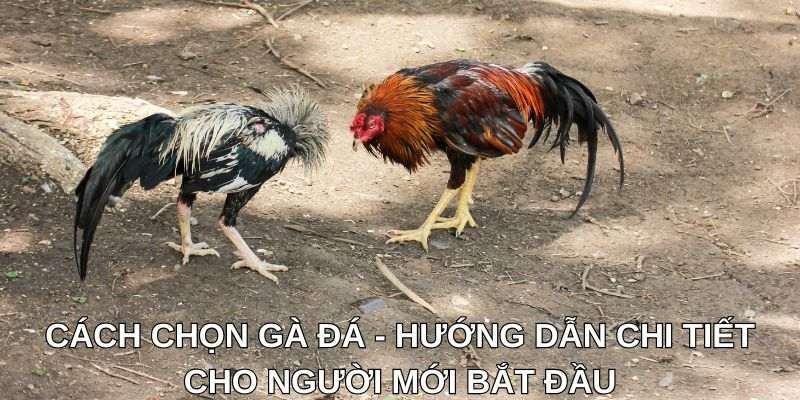 Tìm ngân hàng MB gần đây nhất và các dịch vụ nổi bật bạn nên biết